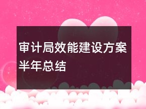 審計局效能建設(shè)方案半年總結(jié)