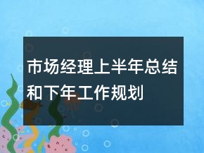 市場經理上半年總結和下年工作規(guī)劃