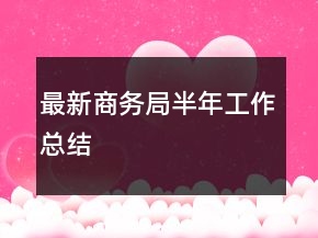 最新商務(wù)局半年工作總結(jié)