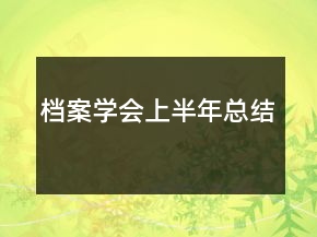 檔案學(xué)會(huì)上半年總結(jié)