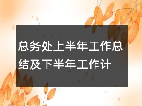 總務(wù)處上半年工作總結(jié)及下半年工作計(jì)劃要點(diǎn)