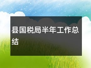 縣國稅局半年工作總結(jié)