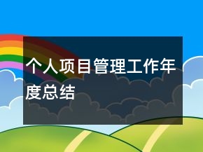 個人項目管理工作年度總結