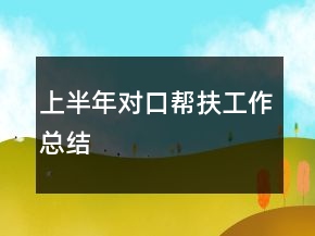 上半年對口幫扶工作總結