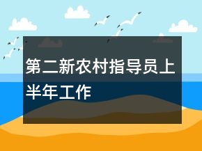 第二新農(nóng)村指導(dǎo)員上半年工作