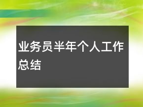 業(yè)務(wù)員半年個(gè)人工作總結(jié)