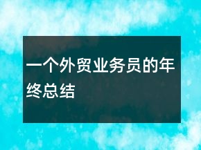 一個外貿(mào)業(yè)務員的年終總結(jié)