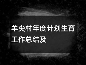 羊尖村年度計(jì)劃生育工作總結(jié)及