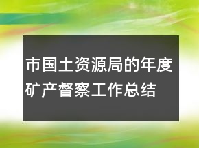 市國土資源局的年度礦產督察工作總結