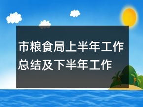市糧食局上半年工作總結(jié)及下半年工作計(jì)劃
