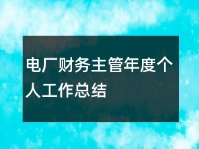 電廠財(cái)務(wù)主管年度個(gè)人工作總結(jié)