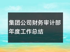 集團(tuán)公司財(cái)務(wù)審計(jì)部年度工作總結(jié)