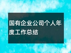國(guó)有企業(yè)公司個(gè)人年度工作總結(jié)