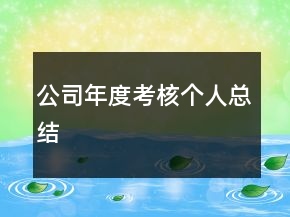 公司年度考核個(gè)人總結(jié)