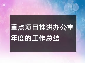 重點(diǎn)項(xiàng)目推進(jìn)辦公室年度的工作總結(jié)