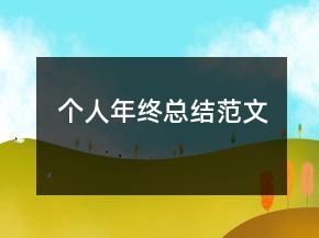 個人年終總結范文