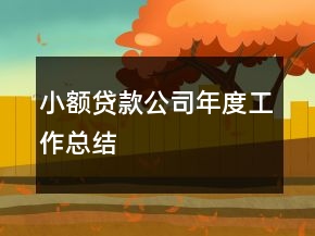 小額貸款公司年度工作總結(jié)