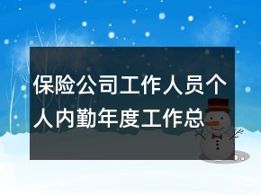 保險(xiǎn)公司工作人員個(gè)人內(nèi)勤年度工作總結(jié)