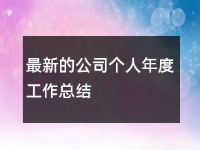 最新的公司個人年度工作總結(jié)