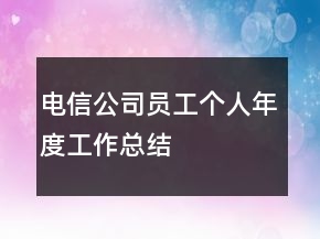 電信公司員工個(gè)人年度工作總結(jié)