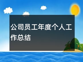 公司員工年度個(gè)人工作總結(jié)
