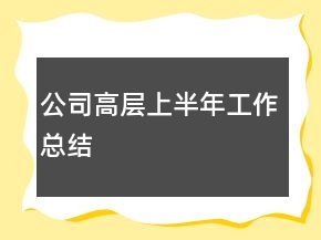 公司高層上半年工作總結(jié)
