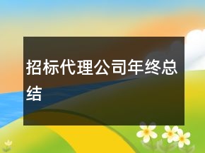招標(biāo)代理公司年終總結(jié)