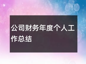 公司財務(wù)年度個人工作總結(jié)