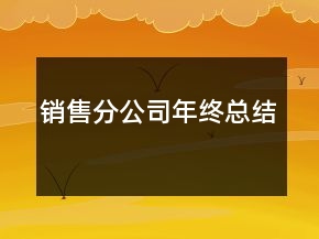 銷售分公司年終總結