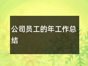 公司員工的年工作總結(jié)