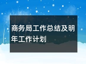 商務(wù)局工作總結(jié)及明年工作計(jì)劃