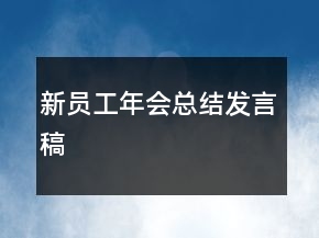 新員工年會總結發(fā)言稿
