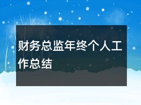 財(cái)務(wù)總監(jiān)年終個(gè)人工作總結(jié)