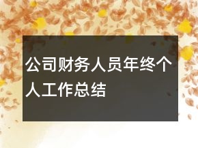 公司財務(wù)人員年終個人工作總結(jié)