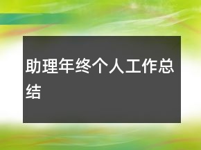 助理年終個(gè)人工作總結(jié)