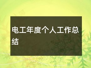 電工年度個(gè)人工作總結(jié)