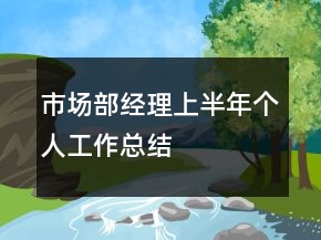 市場(chǎng)部經(jīng)理上半年個(gè)人工作總結(jié)
