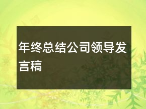 年終總結(jié)公司領(lǐng)導(dǎo)發(fā)言稿