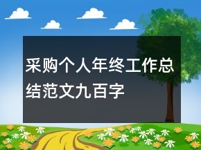 采購個人年終工作總結(jié)范文九百字
