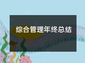 綜合管理年終總結(jié)