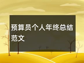 預算員個人年終總結(jié)范文