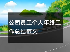 公司員工個(gè)人年終工作總結(jié)范文