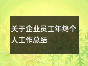 關(guān)于企業(yè)員工年終個人工作總結(jié)