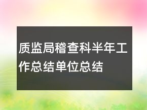 質(zhì)監(jiān)局稽查科半年工作總結(jié)單位總結(jié)