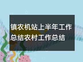 鎮(zhèn)農機站上半年工作總結農村工作總結