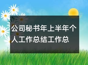 公司秘書年上半年個(gè)人工作總結(jié)工作總結(jié)