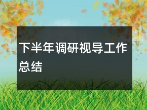 下半年調(diào)研視導工作總結(jié)
