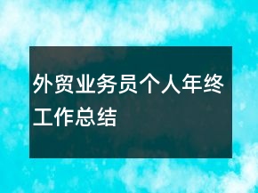 外貿(mào)業(yè)務(wù)員個(gè)人年終工作總結(jié)