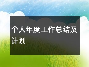 個(gè)人年度工作總結(jié)及計(jì)劃