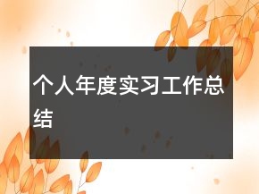個(gè)人年度實(shí)習(xí)工作總結(jié)
